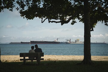 Happy couple enjoying a sunny day while seated on a park bench looking at the sea