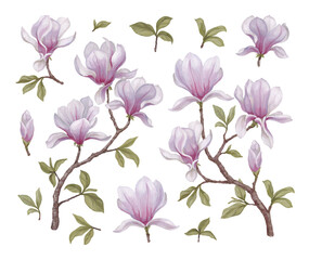 Hand painted acrylic illustrations of magnolia flowers. Perfect for home textile, packaging design, stationery, wedding invitations and other prints