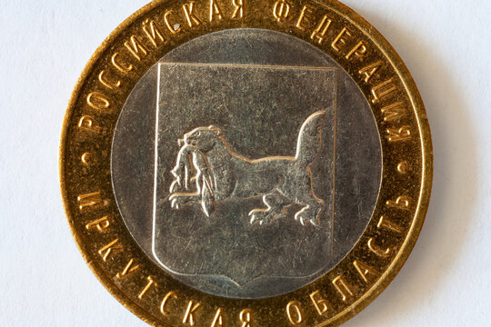 The coat of arms of the Irkutsk region with the mythical babr on a Russian ten ruble coin on a white background. Flat lay, macro, top view