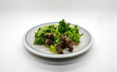 Table Top View of a Spring Lettuce Salad on a Plate With a White Background