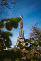 paris, eifel tower, france, tower, garden, france street, paris city - obrazy, fototapety, plakaty