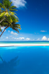 Infinity Pool with a view, palm tree sandy beach, maldives, asia, indian ocean © Sakis  Papadopoulos 