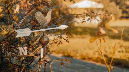 Closeup of a rooster weathervane in a park during the golden hour - obrazy, fototapety, plakaty