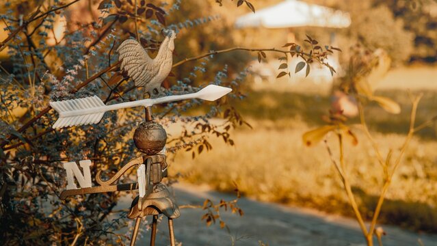 Closeup of a rooster weathervane in a park during the golden hour