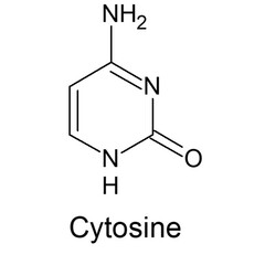 Structure of Cytosine