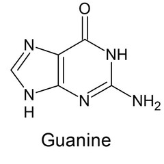 structure of Guanine 