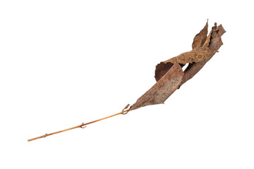 dry leaves on white background