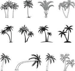 Fototapeta na wymiar This set of detailed palm and coconut tree silhouette illustrations in black is perfect for adding a touch of tropical paradise to your design projects