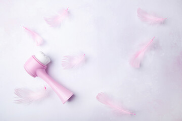 Soft pink face brush tool among feathers. Beauty blogs and reviews concept