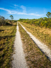 Primitive road in Deer Prairie Creek Preserve in Venice Florida USA