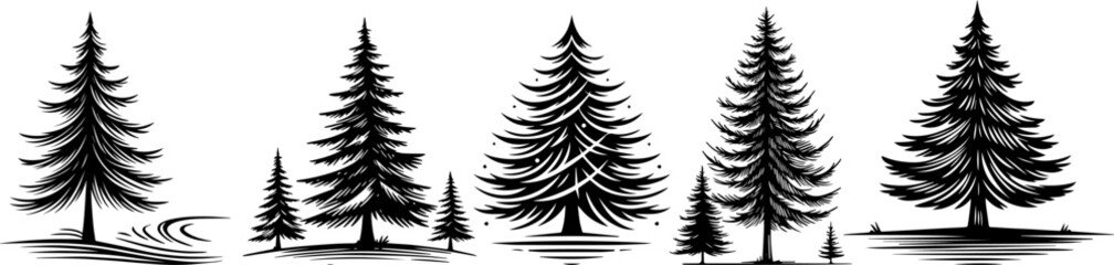 coniferous tree, spruce fir pinedecorative vector illustration silhouette laser cutting black and white shape