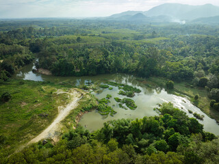 Fototapeta na wymiar Aerial view tropical rainforest green tree with river ecology enveronment