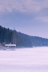 Vertical of a house on shore of a lake surrounded by forests on a foggy day