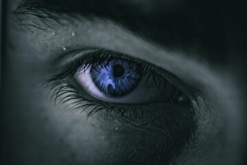 Close-up of a blue eye illuminated in a darkened setting