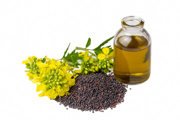 Mustard flowers and oil over white background