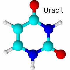 Uracil 3D 