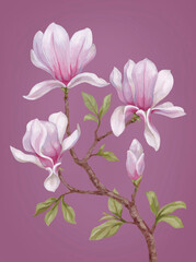 Hand painted acrylic illustration of magnolia flower. Perfect for poster, home textile, packaging design, stationery, wedding invitations and other prints - 767946544