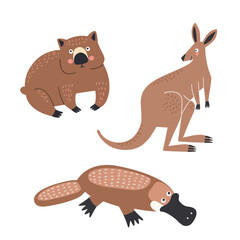 Set of vector illustrations of Australian animals in flat style: kangaroo, wombat, platypus - 767947187