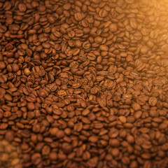 Coffee beans, closeup and product with natural source for export, trading or flavor with sustainability. Caffeine, supply chain and manufacturing with zoom, industry and logistics for distribution