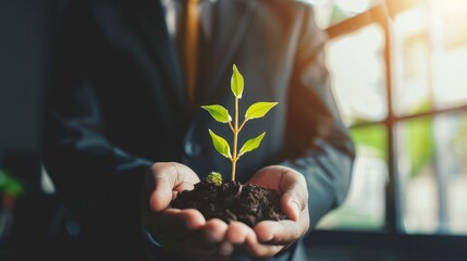 A businessman in suit holding a young plant over a dark soil, depicting growth, care, and sustainability