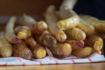 White asparagus fresh from field in raw condition before cutting