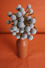Blue flowers close-up in orange, terracotta vase on orange background, minimalism still life