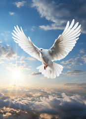 a white dove with wings flying in the sky