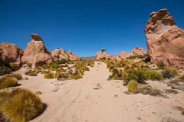 Gordijnen Rock formations in Bolivia © Galyna Andrushko