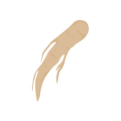 Ginseng Vektor Illustration 