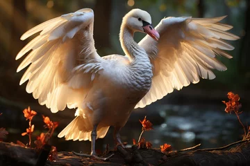 Foto op Aluminium Majestic white swan in natural refuge., generative IA © JONATAS