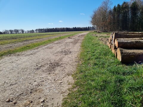 Alter Kirchweg von Apensen nach Wiegersen