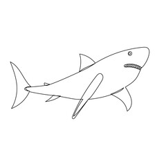 shark swims sketch, on a white background vector
