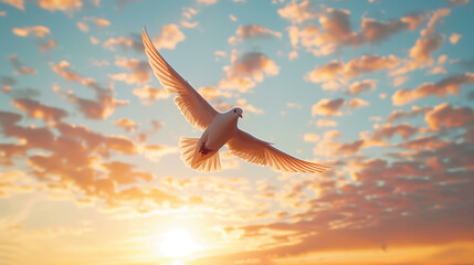 A single dove soars with outstretched wings, silhouetted by the warm hues of a setting sun amidst a sky dotted with clouds.