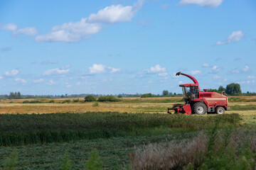 Red harvester in a rural field. Grain harvesting concept on a sunny summer day, side view.