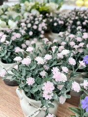 artificial Gypsophila flowers in a ceramic pot with a ribbon for interior decoration