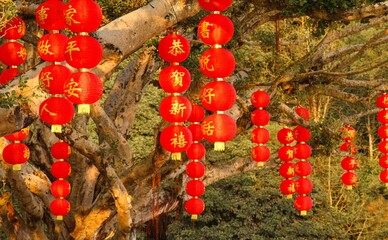 Closeup of traditional Chinese lanterns hanging outdoors