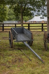 Antique wooden horse-drawn carriage on a grassy field in New England