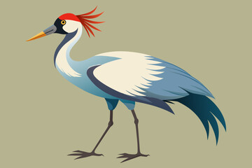 crane bird vector arts illustration