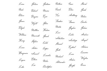 A set of fictitious autographs, a handwritten fake signature. Isolated on a transparent background, vector illustration. American male names - obrazy, fototapety, plakaty