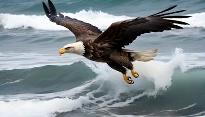 An Eagle With Its Wings Folded Back Diving Toward - obrazy, fototapety, plakaty