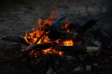  Bonfire, fire, smoke on a background of nature. © Iryna