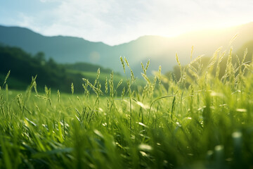 A beautiful landscape of a green field or meadow bathed in sunlight stretches towards a clear blue...
