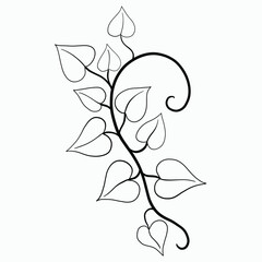 Floral ivy drawing decorative ornament flat design. - 767983326