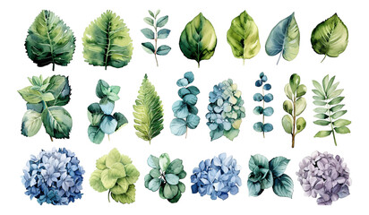 Watercolor style plant elements - obrazy, fototapety, plakaty