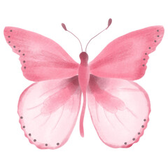 Pink butterfly 