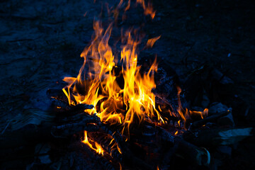 Bonfire flames on a black background. The concept of memory, mysticism.