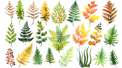 Watercolor collection of many different magical ferns and mosses isolated on white