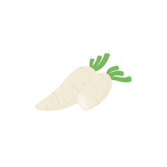 White Radish Vektor Illustration