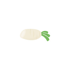 White Radish Vektor Illustration