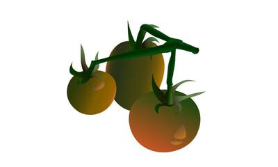 Three green tomatoes
